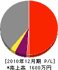 杉田興業 損益計算書 2010年12月期