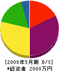 阪本設備工業 貸借対照表 2008年5月期
