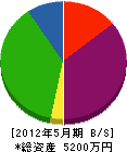 竹内土木 貸借対照表 2012年5月期