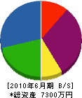 藤田設備 貸借対照表 2010年6月期