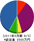 木沢電気工業所 貸借対照表 2011年9月期