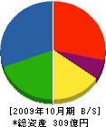 シンコ－ 貸借対照表 2009年10月期