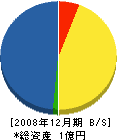 田地工務店 貸借対照表 2008年12月期