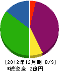 石田電気 貸借対照表 2012年12月期