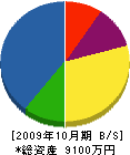 長谷川地研 貸借対照表 2009年10月期