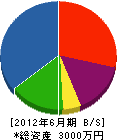 川竹庭園 貸借対照表 2012年6月期