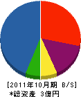 若林工務店 貸借対照表 2011年10月期
