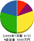 黒沢造園関東重機 貸借対照表 2009年7月期