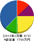 長野エンジニア工業 貸借対照表 2013年2月期