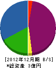 平成 貸借対照表 2012年12月期