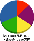 斎藤製畳 貸借対照表 2011年9月期