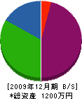 桜谷建設 貸借対照表 2009年12月期