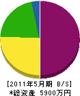長島建設 貸借対照表 2011年5月期