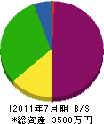 多賀植物園 貸借対照表 2011年7月期