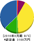 阪南開発 貸借対照表 2010年8月期