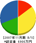 野村電設 貸借対照表 2007年11月期