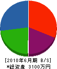 福晃電業社 貸借対照表 2010年6月期