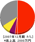大日土木 損益計算書 2007年12月期 大日土木 損益計算書 2007年12月期