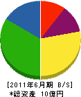 新潟ガービッヂ 貸借対照表 2011年6月期