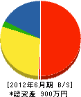 栃木緑創 貸借対照表 2012年6月期