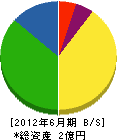 田中電設工業 貸借対照表 2012年6月期