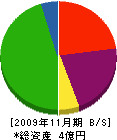 橋本電設 貸借対照表 2009年11月期