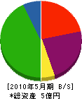 ヤマテ三美 貸借対照表 2010年5月期