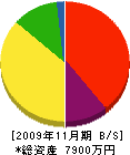 塩沢重機建設 貸借対照表 2009年11月期