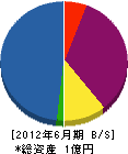 佐野組 貸借対照表 2012年6月期
