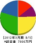 北海道テクニカルシステムエンジニア 貸借対照表 2012年3月期