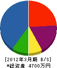 前田電気 貸借対照表 2012年3月期