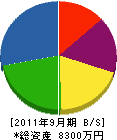 伊藤土建 貸借対照表 2011年9月期