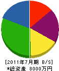 中村水道土木 貸借対照表 2011年7月期