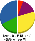 ハットリマーキング 貸借対照表 2010年9月期 ハットリマーキング 貸借対照表 2010年9月期