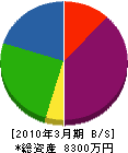 川平工業 貸借対照表 2010年3月期