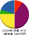 ジャパンプルーフ 貸借対照表 2009年3月期