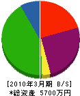前澤塗装 貸借対照表 2010年3月期