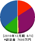 高橋住建 貸借対照表 2010年12月期