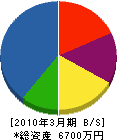 平井商店 貸借対照表 2010年3月期