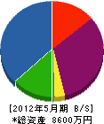 関沢電気 貸借対照表 2012年5月期