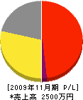 中央塗装工業 損益計算書 2009年11月期