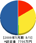 東備興業 貸借対照表 2008年5月期 東備興業 貸借対照表 2008年5月期