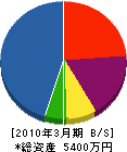 川内電気商会 貸借対照表 2010年3月期