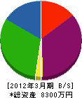 道亜工業 貸借対照表 2012年3月期