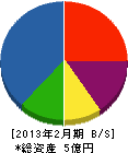佐藤工業 貸借対照表 2013年2月期