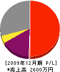 中村電気工業所 損益計算書 2009年12月期