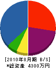 ワタセイ商会 貸借対照表 2010年8月期