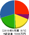 吉村塗工店 貸借対照表 2010年8月期