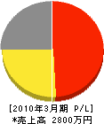 早川電気商会 損益計算書 2010年3月期