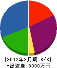 坪内電気 貸借対照表 2012年3月期